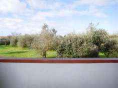 Foto Appartamento in vendita a Campo - San Giuliano Terme 40 mq  Rif: 1244360
