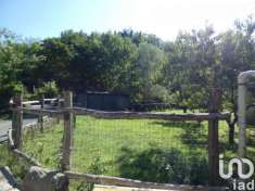 Foto Appartamento in vendita a Carro