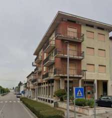 Foto Appartamento in Vendita a Castagnaro