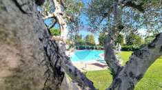 Foto Appartamento in vendita a Cecina