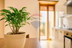 Foto Appartamento in vendita a Colleferro