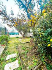 Foto Appartamento in vendita a Forio