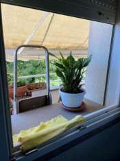 Foto Appartamento in vendita a Gello - San Giuliano Terme 58 mq  Rif: 1305873