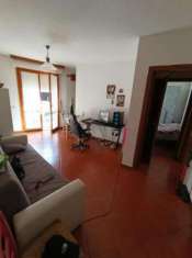 Foto Appartamento in vendita a Grosseto 55 mq  Rif: 1390890
