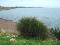 Foto Appartamento in vendita a Isola Di Capo Rizzuto