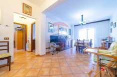 Foto Appartamento in vendita a Marino