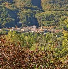 Foto Appartamento in vendita a Montieri 80 mq  Rif: 1128136