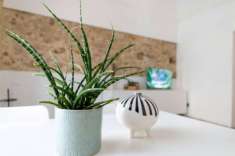 Foto Appartamento in vendita a Noto