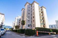 Foto Appartamento in vendita a Pisa 42 mq  Rif: 1363506