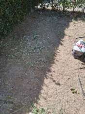 Foto Appartamento in vendita a San Pietro a Vico - Lucca 92 mq  Rif: AP SPVI 175