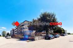 Foto Appartamento in vendita a San Tammaro
