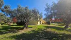 Foto Appartamento in vendita a Sant'Andrea Apostolo dello Ionio