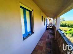 Foto Appartamento in vendita a Scalea