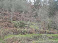 Foto Appartamento in vendita a Valdurasca - La Spezia 75 mq  Rif: 1043183