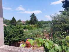 Foto Appartamento in vendita a Zagarolo