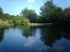 Foto Appartamento in vendita a Zeri 53 mq  Rif: 1208669