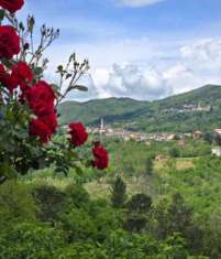 Foto Appartamento in vendita a Ziona - Carro 165 mq  Rif: 1333359