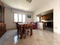 Foto Appartamento in Vendita in zona PALAZZACCIO con giardino