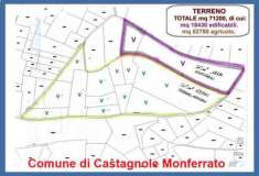 Foto AREA EDIFICABILE di 71210 mq (CASTAGNOLE MONFERRATO - Castagnole) rif. E39