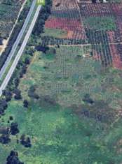 Foto Area verde in vendita a Castelvetrano