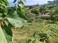 Foto Area verde in vendita a Fonte Nuova