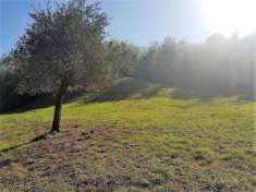 Foto Area verde in vendita a Lucca