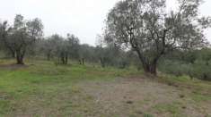 Foto Area verde in vendita a Lucca