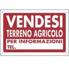 Foto Area verde in vendita a Pietrasanta