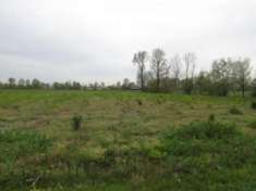 Foto Area verde in vendita a Santa Giustina in Colle