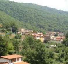 Foto Area verde in vendita a Seravezza