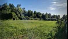 Foto Area verde in vendita a Seravezza