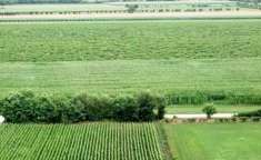 Foto Attivit  agrituristica in vendita  - Friuli Venezia Giulia