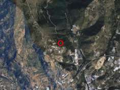 Foto Attivit  commerciale a Valle Lomellina - Rif. 24628