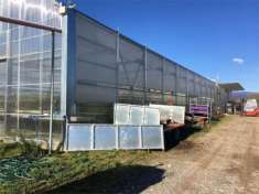 Foto az agric pbugg 150 - Azienda Agricola a Ponte Buggianese