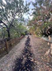 Foto Azienda Agricola - Narni . Rif.: Cod. rif 3230543VCG