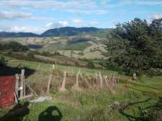 Foto AZIENDA AGRICOLA  40 ETTARI TERRENO