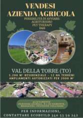 Foto Azienda Agricola, Allevamento e Pensione Animali