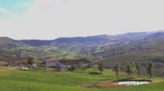 Foto AZIENDA AGRICOLA DA LATTE PER PARMIGIANO REGGIANO