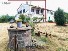 Foto AZIENDA AGRICOLA di 10 vani e di 350 mq (CIVITELLA PAGANICO - PAGANICO) rif. 2437.300M