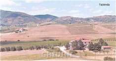 Foto AZIENDA AGRICOLA di 12 vani e di 400 mq (CASTEL DEL PIANO) rif. 2262.238M