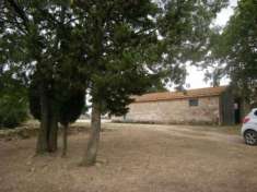 Foto AZIENDA AGRICOLA di 140 mq (MANCIANO) rif. SESTO