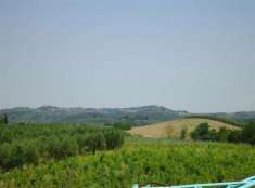 Foto AZIENDA AGRICOLA di 2500 mq (CERTALDO) rif. C 760