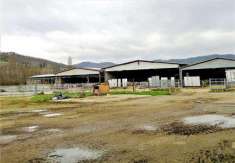 Foto Azienda agricola in Vendita, 1 Locale, 13576 mq (UMBERTIDE)