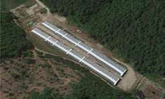 Foto Azienda agricola in Vendita, 1 Locale, 250000 mq (CITTA' DI CAS