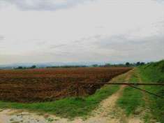 Foto Azienda agricola in Vendita, 1 Locale, 800000 mq (MONTEPULCIANO)