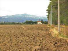 Foto Azienda agricola in Vendita, 200 mq (GROSSETO BRACCAGNI)