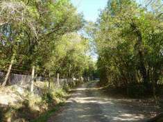 Foto AZIENDA AGRICOLA in Vendita, 2500 mq, GAMBASSI TERME