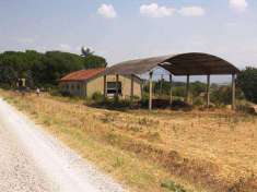 Foto Azienda agricola in Vendita, 300000 mq (CORTONA)