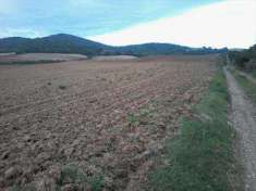 Foto Azienda agricola in Vendita, 500000 mq (MANCIANO)
