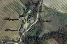 Foto AZIENDA AGRICOLA in Vendita, pi di 6 Locali, 1000 mq, ALLERONA